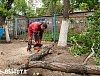 Спил деревьев в детском саду